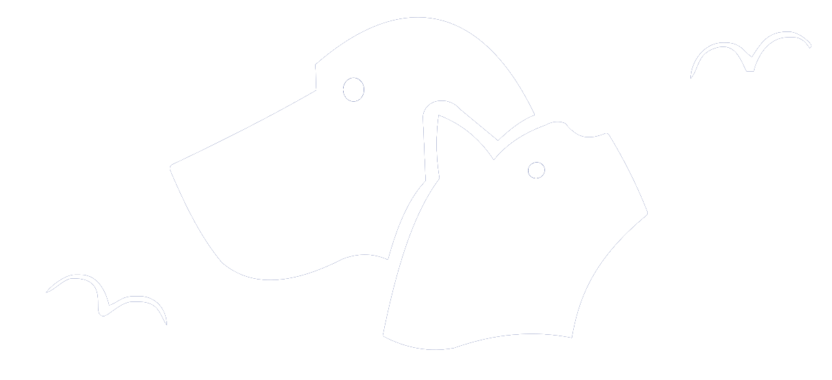 OzonoVet España, mascotas y veterinaria en Algeciras
