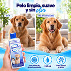 Ozonovet Septi-Derm - Champú de Ozono Dermatológico (250 ml)