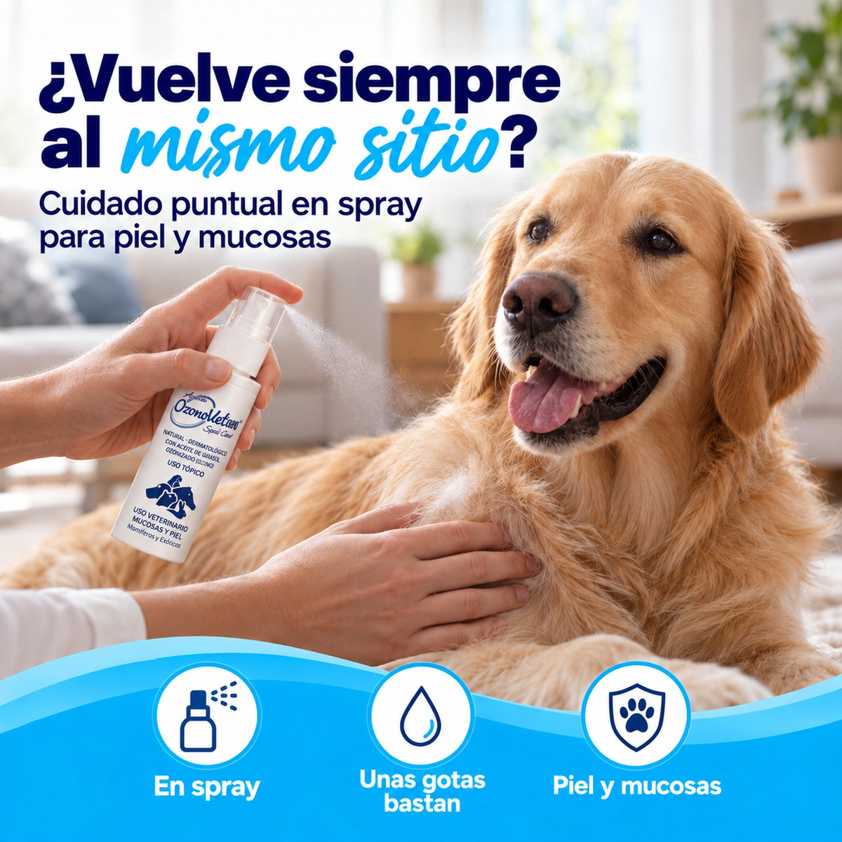 Ozonovet Septi-Cicat 600 I.P: Aceite Ozonizado para Piel y Mucosas