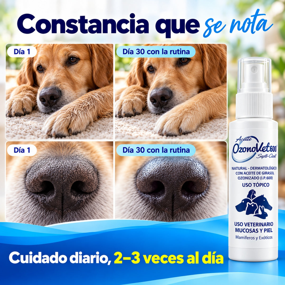 Ozonovet Septi-Cicat 600 I.P: Aceite Ozonizado para Piel y Mucosas