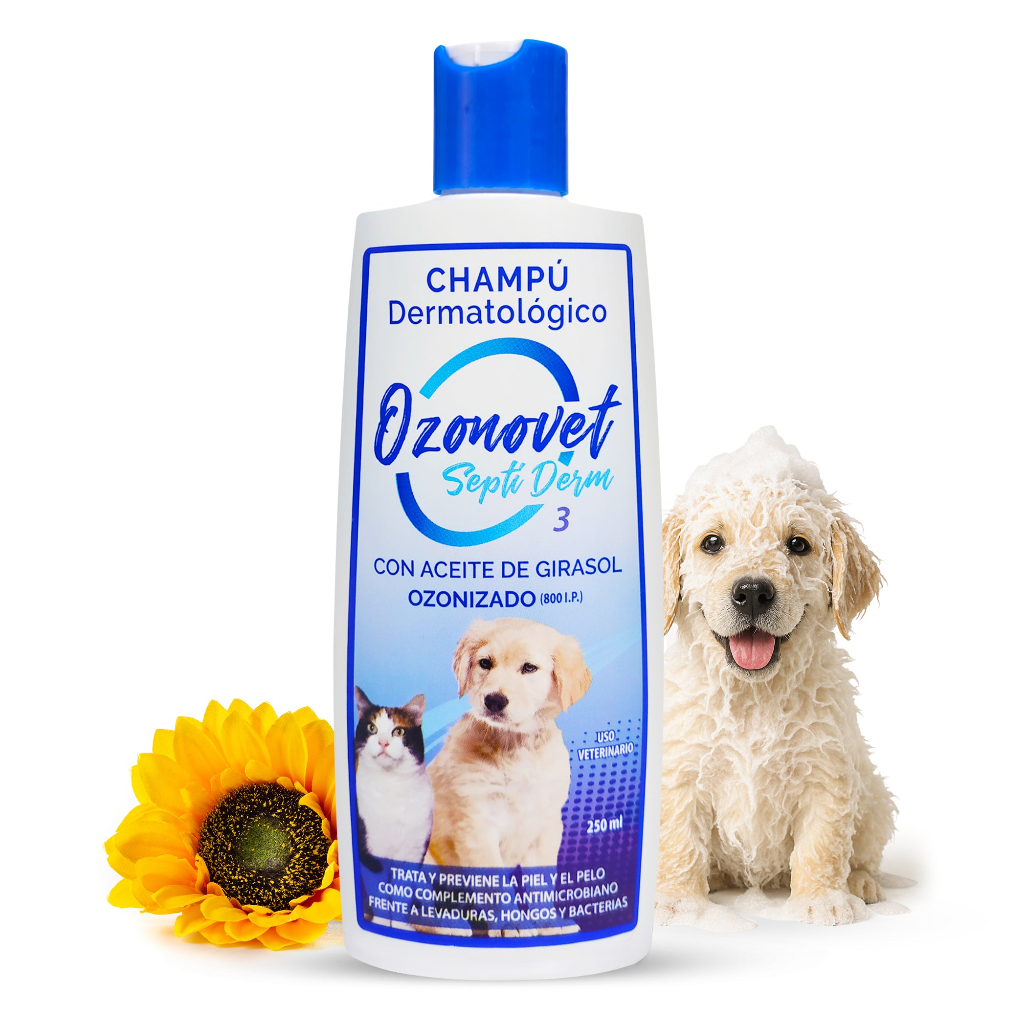 Ozonovet Septi-Derm Champú (250 ml)