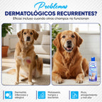 Ozonovet Septi-Derm Champú (250 ml)