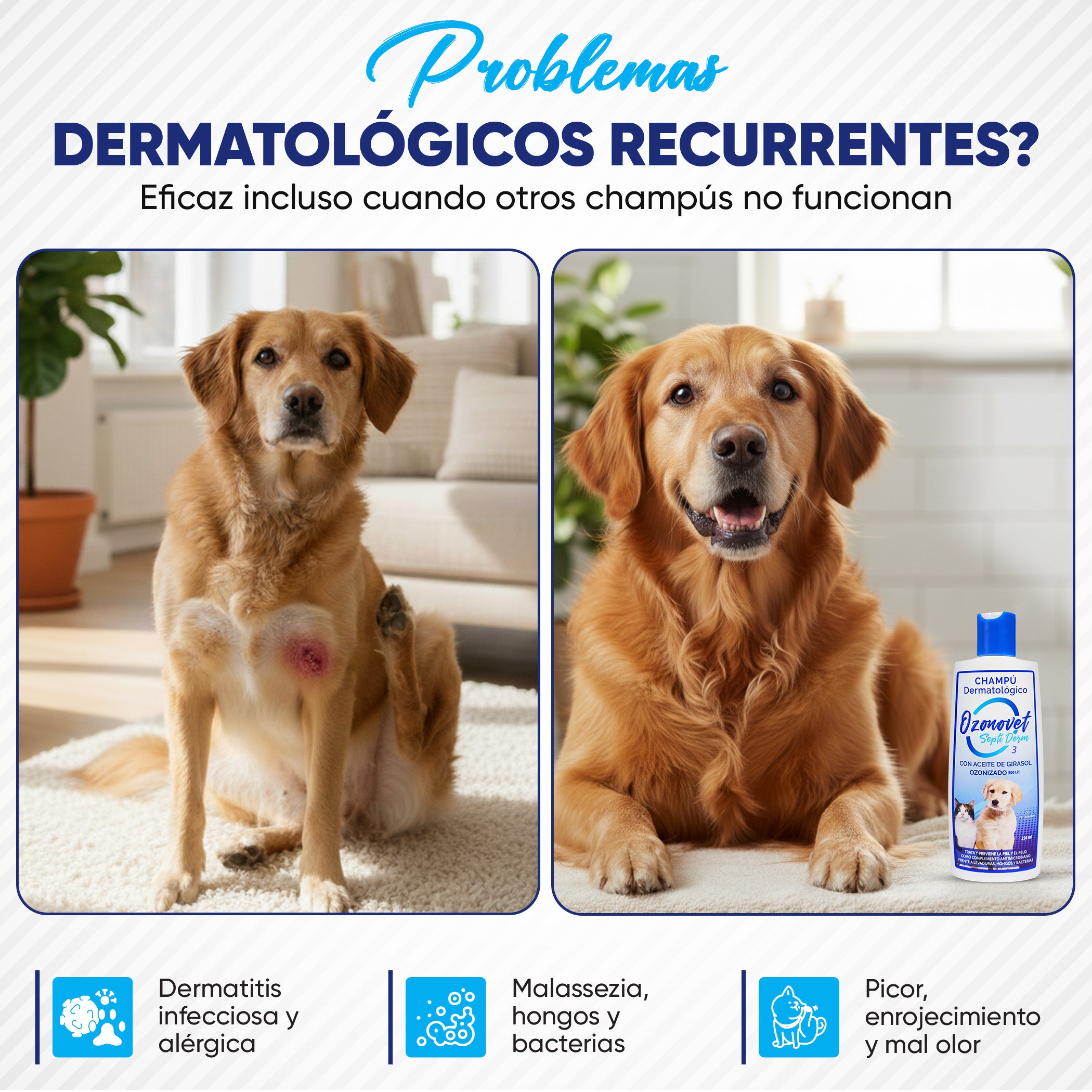 Ozonovet Septi-Derm Champú (250 ml)