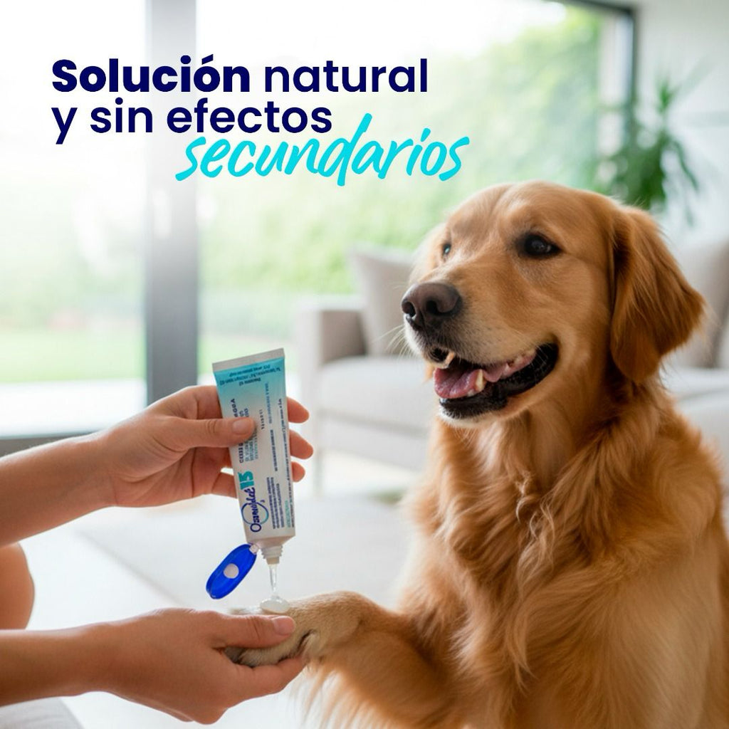 Lipogel Ozonovet 15 – Solución natural y efectiva para la piel de tu mascota